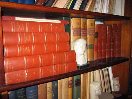 Figura 2. Tramo con las Obras Completas del Dr. Fermín Vélez Boza en la biblioteca de su residencia.