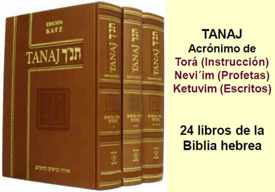 Fig 4. Colección de libros sagrados de la Biblia hebrea