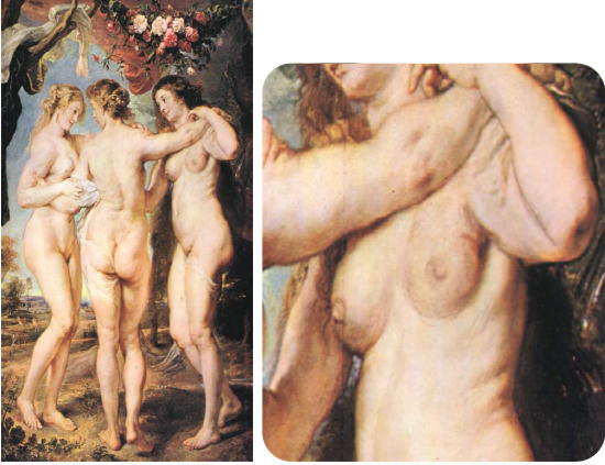 Fig 9 y 10: Las tres Gracias, de Rubens. Obsérvense el cuadrante supero externo de la mama