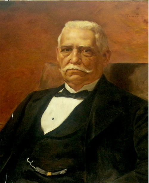Figura 1. Dr. José Manuel de Los Ríos (1829 – 1914). Óleo de F. Frías. Academia Nacional de Medicina.