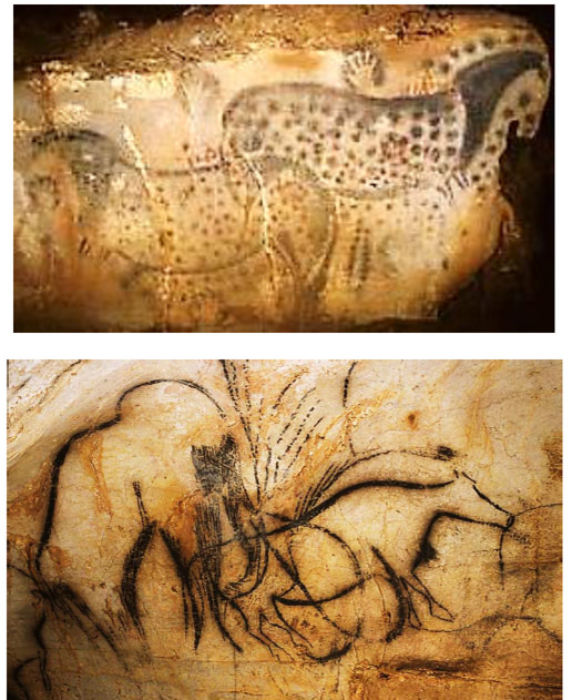 Fig 19. Pinturas rupestres en cueva Pech Merle, Francia. Arriba panel de caballos moteados (25.000 años) Abajo Mamut y Uro (18.000 años) hechas con dióxido de manganeso