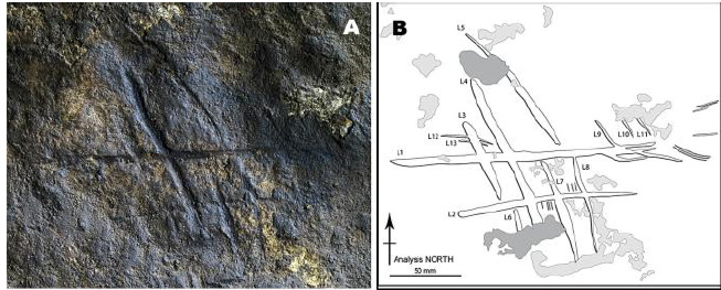 Fig 22. A. Grabado en Cueva de Gorham, Gibraltar. España. Antiguedad 39.000 años. 300 cm2. B. Dibujo del grabado