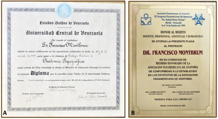 Figure 10. A) Head of Practical Works of Topographic Anatomy at UCV Diploma bestowed by the Minister of Education. He passed the public examination with the highest marks. B) Honorary Member plaque awarded by the Pan American Anatomy Association