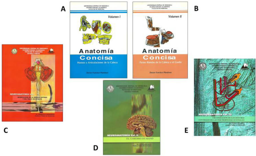 Figure 8. Books. A-B) Concise Anatomy; Volumes I and II. C-E) Neuroanatomy, Volumes I, II and III (Collection: “Ediciones y Publicaciones del Vicerrectorado Académico de la UCV”)
