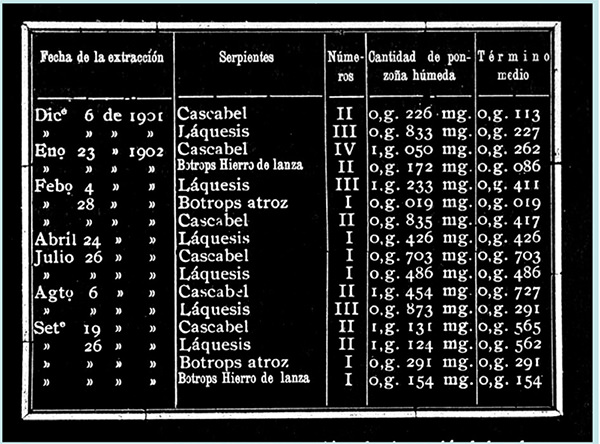 Cuadro 4. Tabla de datos para la Tesis Doctoral sobre SERPIENTES PONZOÑOZAS EN VENEZUELA
