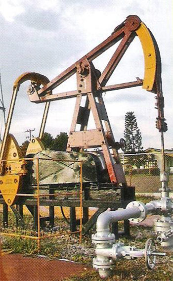 44) El Zumaque I