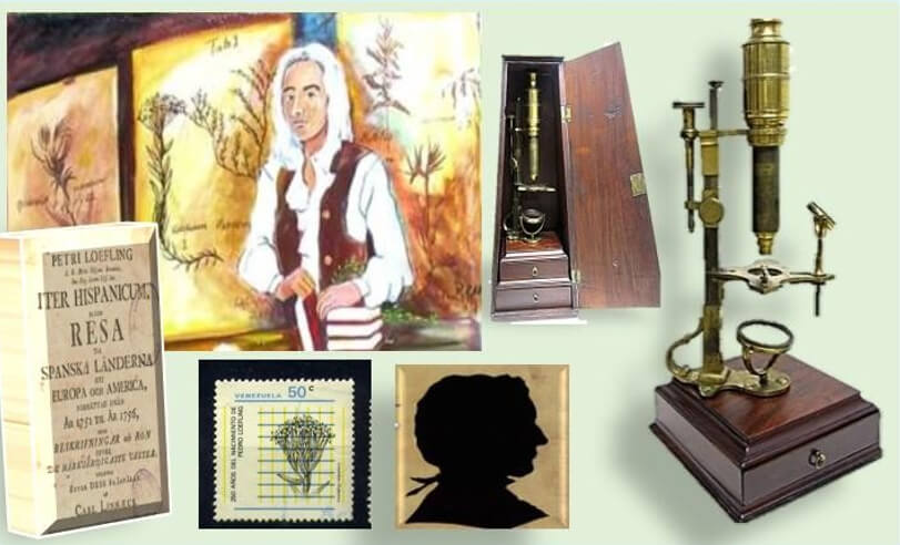 Figura 9. lmagen de Pehr Loefling que se encuentra en la pared del Colegio que lleva su nombre, en Puerto Ordaz, Ciudad Guayana, Bolívar, está basada en la idea de cómo pudo haber sido el aspecto del sabio botánico. Según una testamentaria de Loefling, este era el tipo de vestimenta que poseía entre sus pertenencias, al fallecer. Portada del libro escrito por él en Venezuela. Microscopio de Cuffy y microscopio acuático de John Ellis. Estampilla y Efigie del botánico que figura en la Placa en honor a Perh Loefling, en el Puerto de Santa María, España. Fotografías de Google Venezuela.