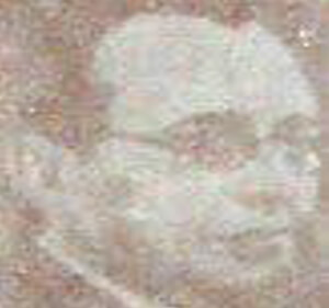 Figura 13. Dr. Luis Gregorio Chacín Itriago