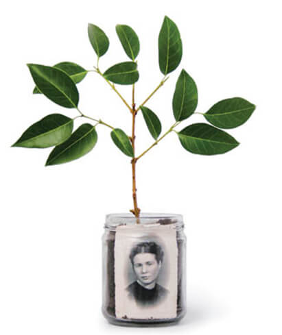 Figura 3. Irena Sendler dentro de un frasco de vidrio lleno de tierra que representa el secreto guardado por ella y del cual sobresale un pequeño árbol de manzano, cuyas hojas simbolizan los niños salvados del GV. (Diseño del artista plástico español Pep Carrió).