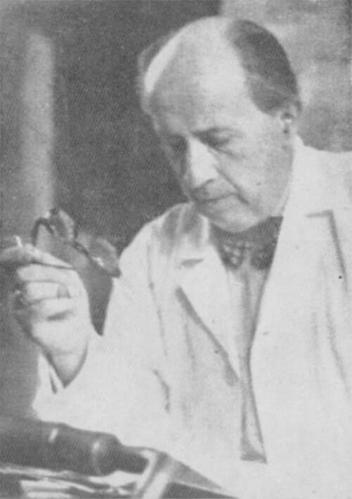Profesor Dr. Karl Kleist